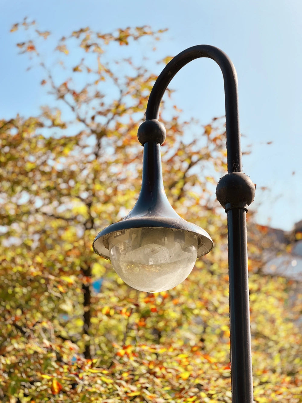 Klasyczna lampa parkowa LED na zakrzywionym słupie na tle jesiennych drzew